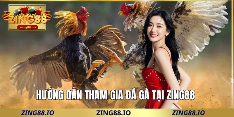 Hướng dẫn tham gia đá gà tại Zing88