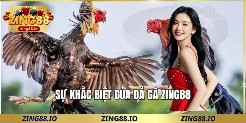 Sự khác biệt của đá gà Zing88