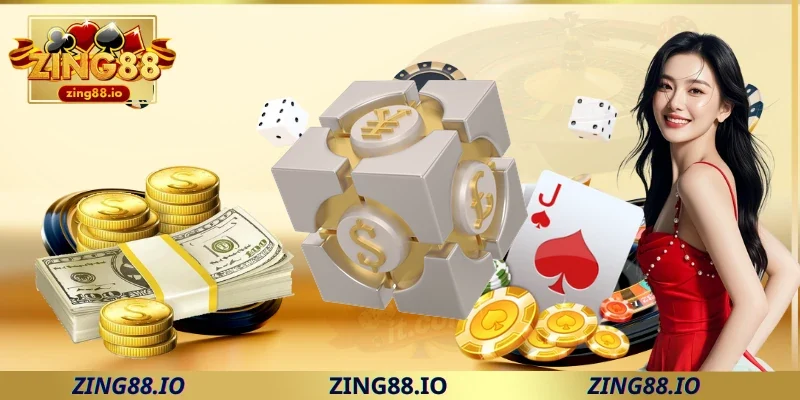 Thông tin nào được thu thập